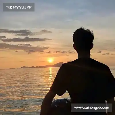 贺佩多